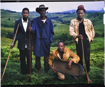 Burundi, Bujumbura Province, Ijenda area, Tutsi cow herders, traditionally Tutsi (Batutsi) have always been cattle breeders, they would come from the Upper Nile region and would have arrived in the Great Lakes region between the 13th and 16th century, the man squatting plays a string instrument called inanga, a tea plantation in the background (4x5 reversal film reproduction)