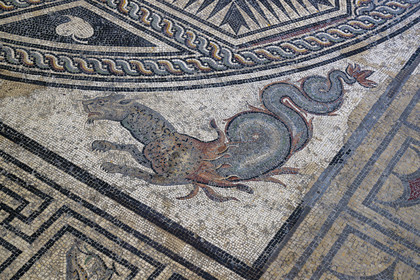 France, Vaucluse (84), Vaison-la-Romaine, site archéologique de Puymin, musée archéologique Théo Desplans, mosaïque de la Maison du Paon (milieu IIe siècle -fin IIIe siècle) située sur la colline du Puymin, la panthère marine (monstre marin) de l'écoinçon