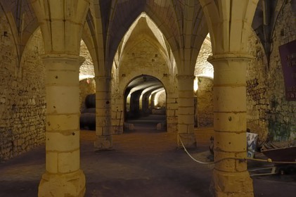 France, Maine et Loire (49), château de Montreuil-Bellay, les caves