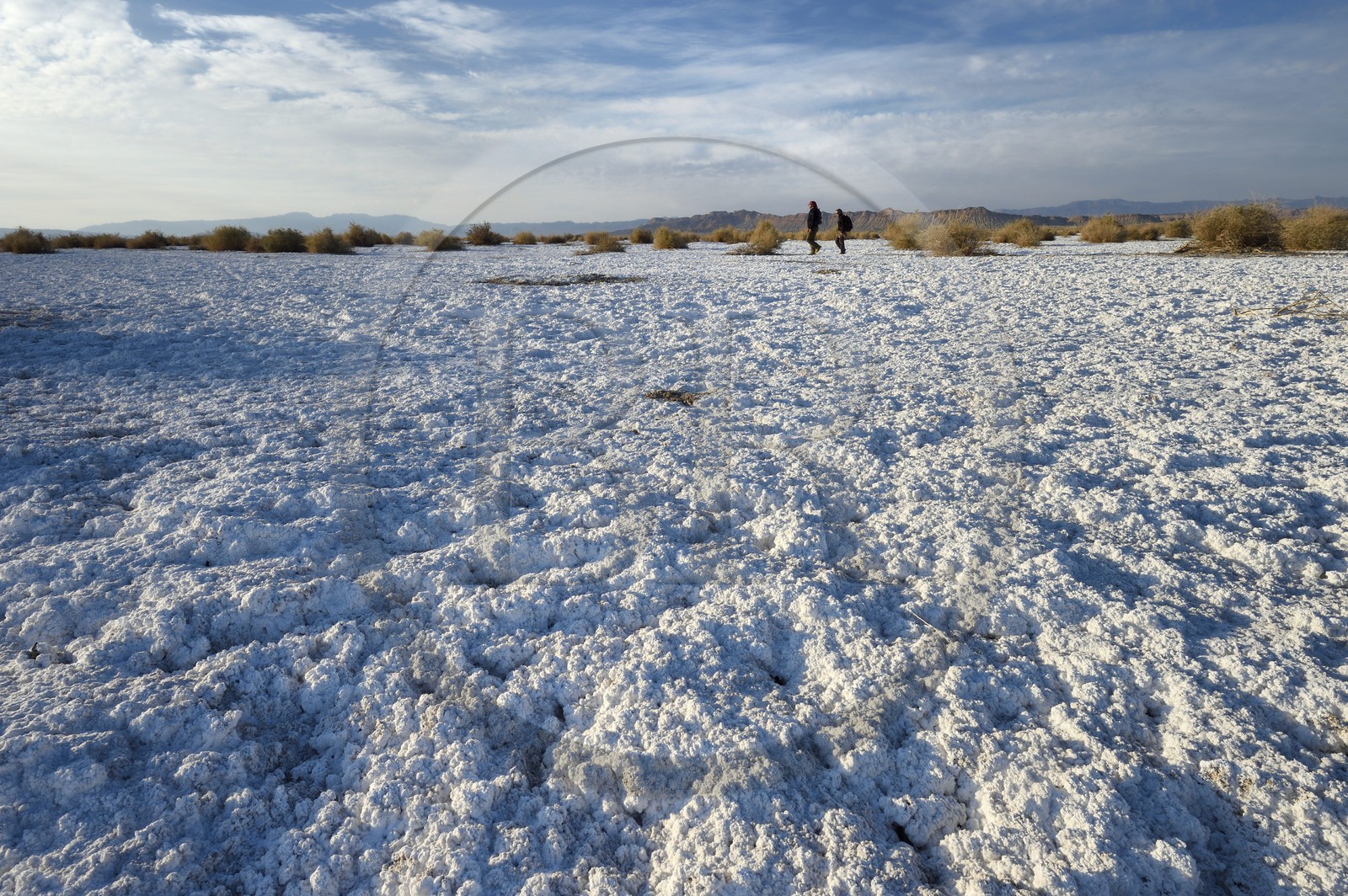 Iran, Province d'Ispahan, désert du Dasht-e Kavir, Khur, désert de sel qui émerge de la terre par capilarité après les pluies
