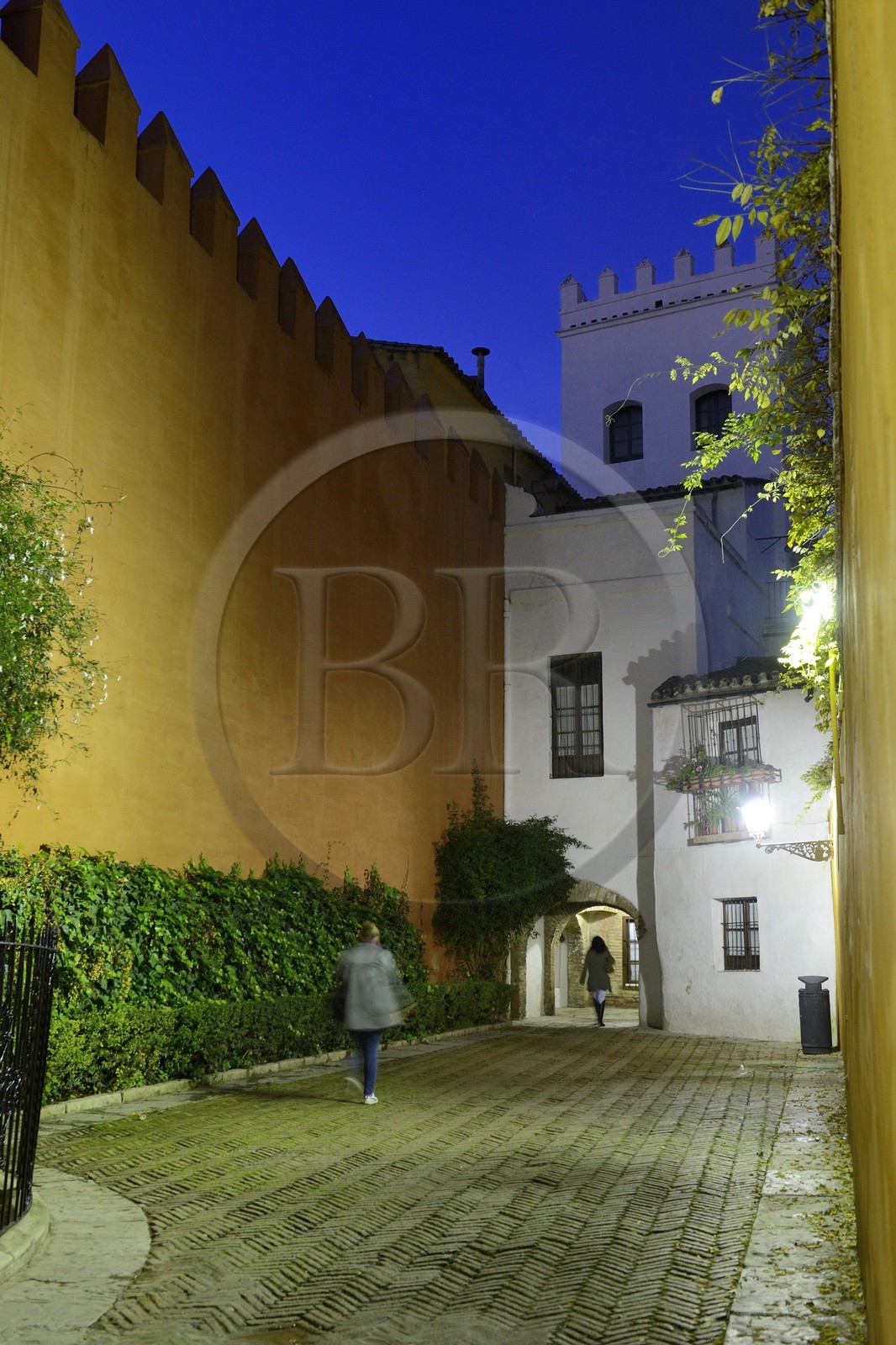 Espagne, Andalousie, Séville, quartier de Santa Cruz, la Juderia en bordure de l'Alcazar