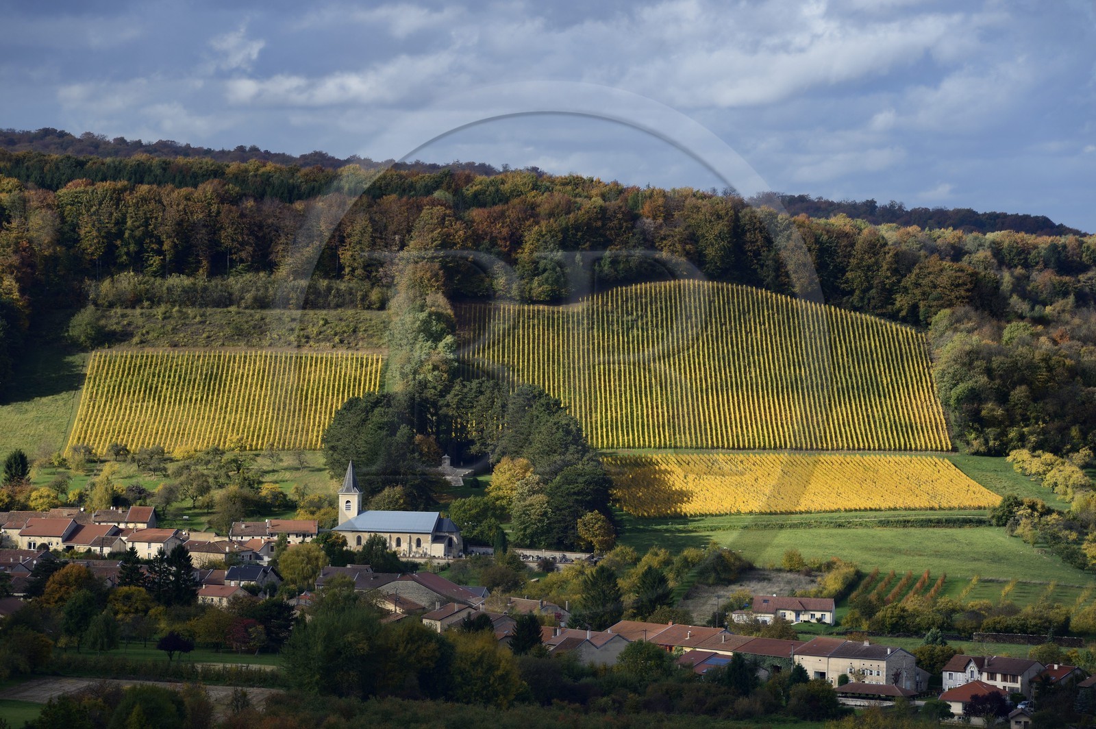 France, Meuse (55), Parc régional de Lorraine, Cotes de Meuse, le village de Viéville-sous-les-Côtes au pied d'un vignoble
