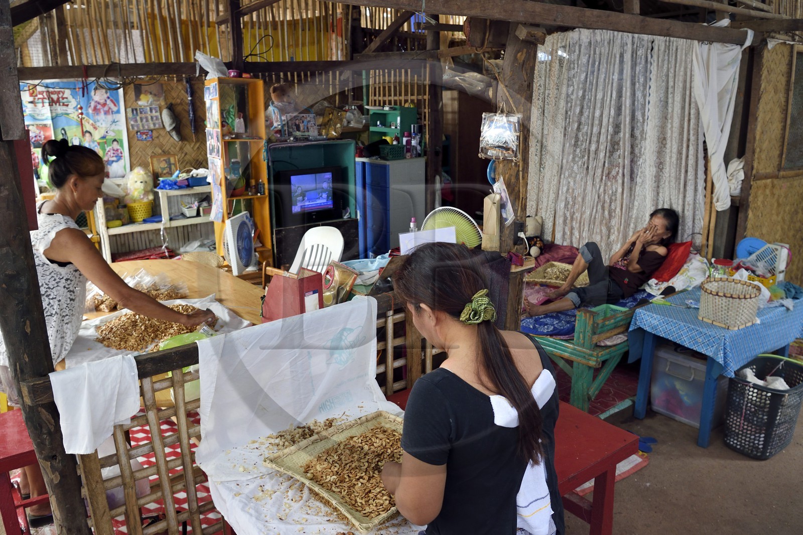 Philippines, Calamian Islands in northern Palawan, Coron Island, Coron Town, Coron Harvest Cashew factory, preparing cashew nuts