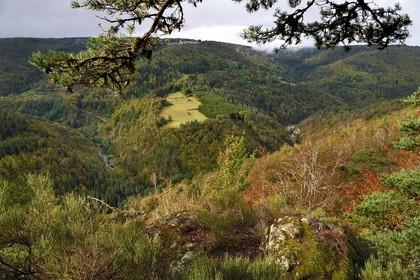 France, Ardeche, parc naturel regional des Monts d'Ardeche (Regional natural reserve of the Mounts of Ardeche), Mezenc Massif, Lac d'Issarles forest, Rang Goutier belvedere at the top of Montchamp, panoramic viewpoint over the Loire Valley