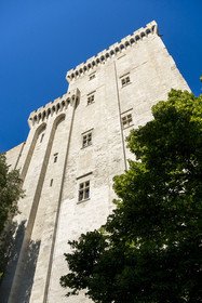 France, Vaucluse (84), Avignon, Palais des Papes classé Patrimoine mondial de l'UNESCO, la tour de Trouillas à droite et la tour des Latrines ou de la Glacière sur la facade Est