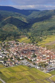 France, Haut Rhin, Riquewihr and its vineyard at the bottom of Vosges Massif (aerial view)