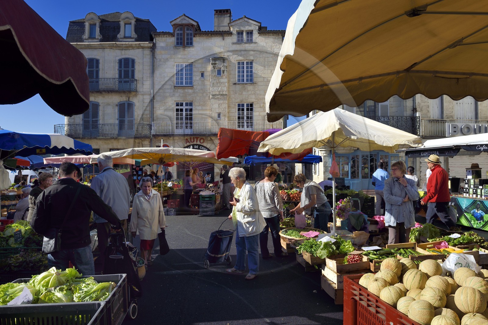 France, Dordogne (24), Périgord Blanc, Périgueux, le marché place de la Clautre devant la Cathédrale Saint-Front