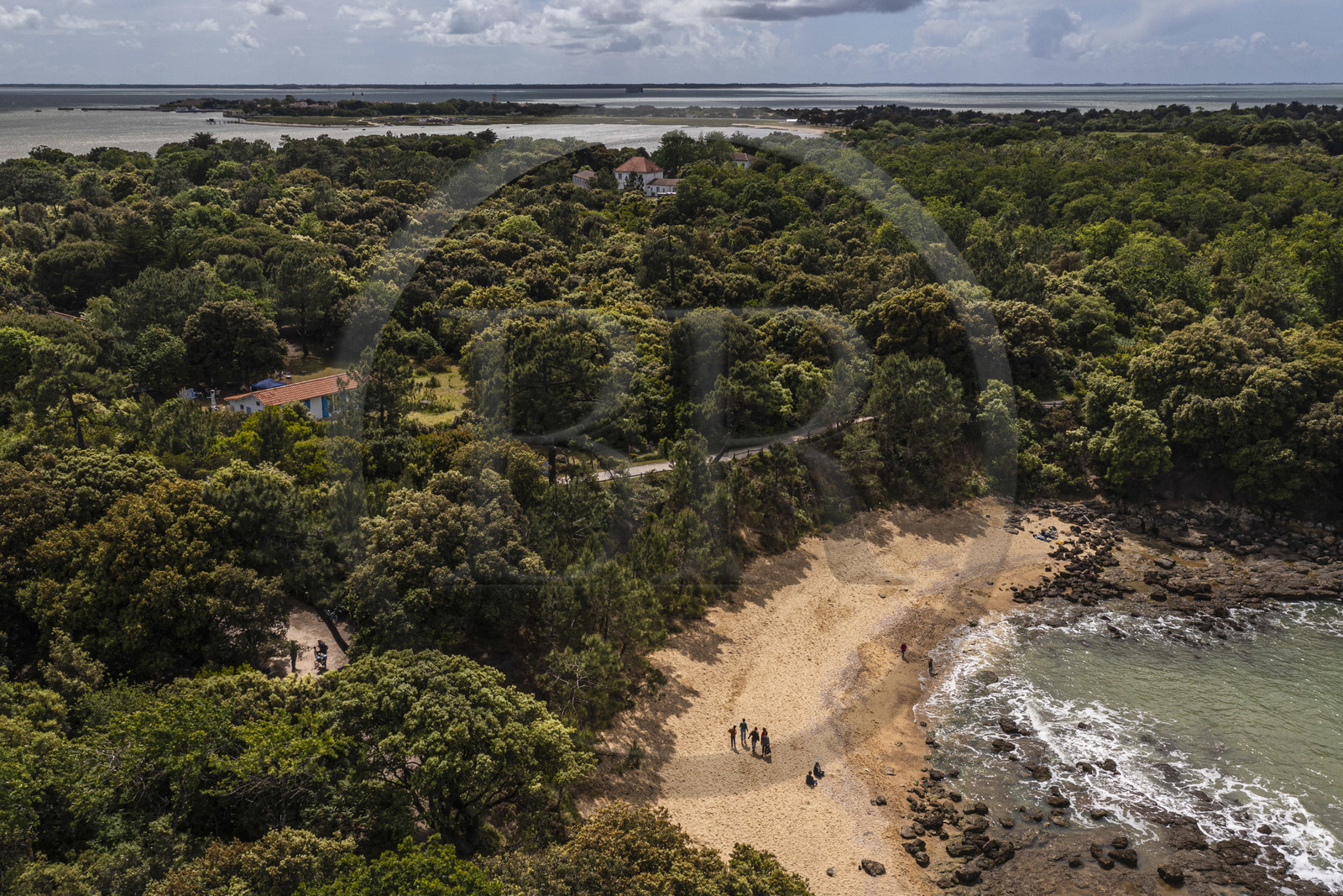 France, Charente-Maritime (17), Ile d'Aix, la crique de la plage des Sables d’Or au nord de l'ile (vue aérienne)
