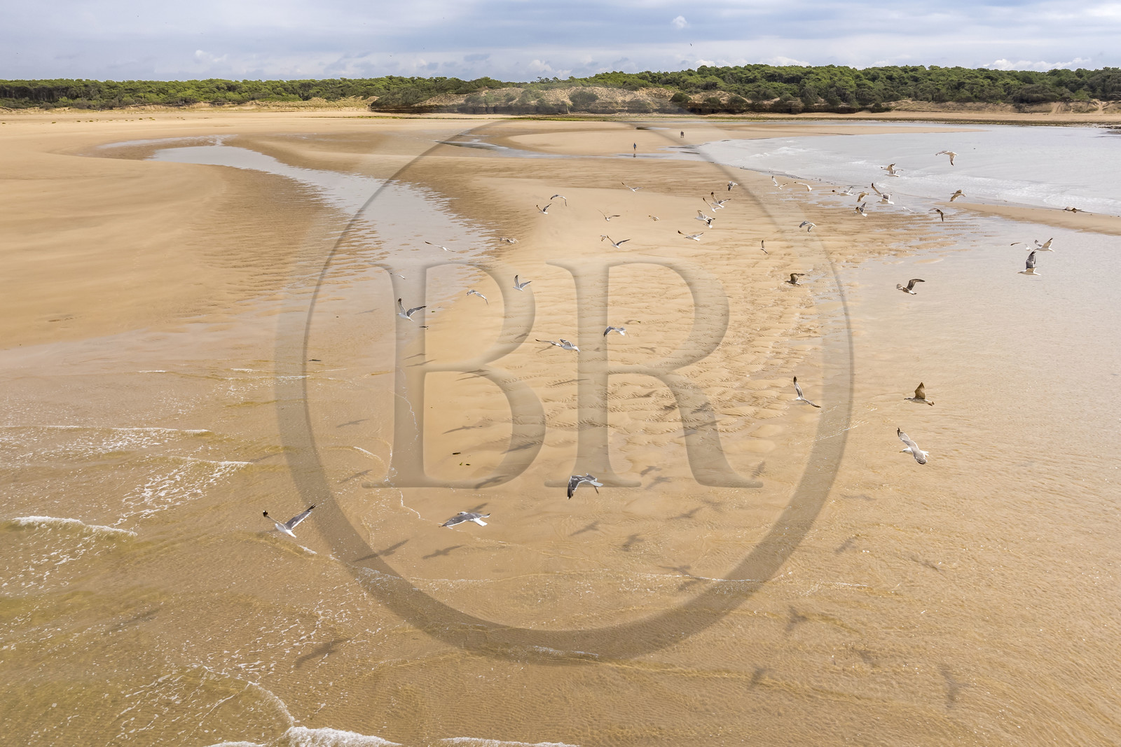 France, Vendée (85), Talmont-Saint-Hilaire, la Pointe du Payré, promeneurs et mouettes sur la plage du Veillon et estuaire de la rivière Payré (vue aérienne)