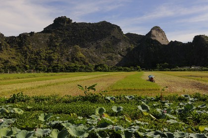 Vietnam, Ninh Binh province,