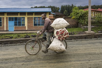 Rwanda, Province du Nord, District de Musanze (Ruhengeri), hameau de Garuka, transport de charbon de bois sur une bicyclette, les bicyclettes sont le principal moyen de transport local