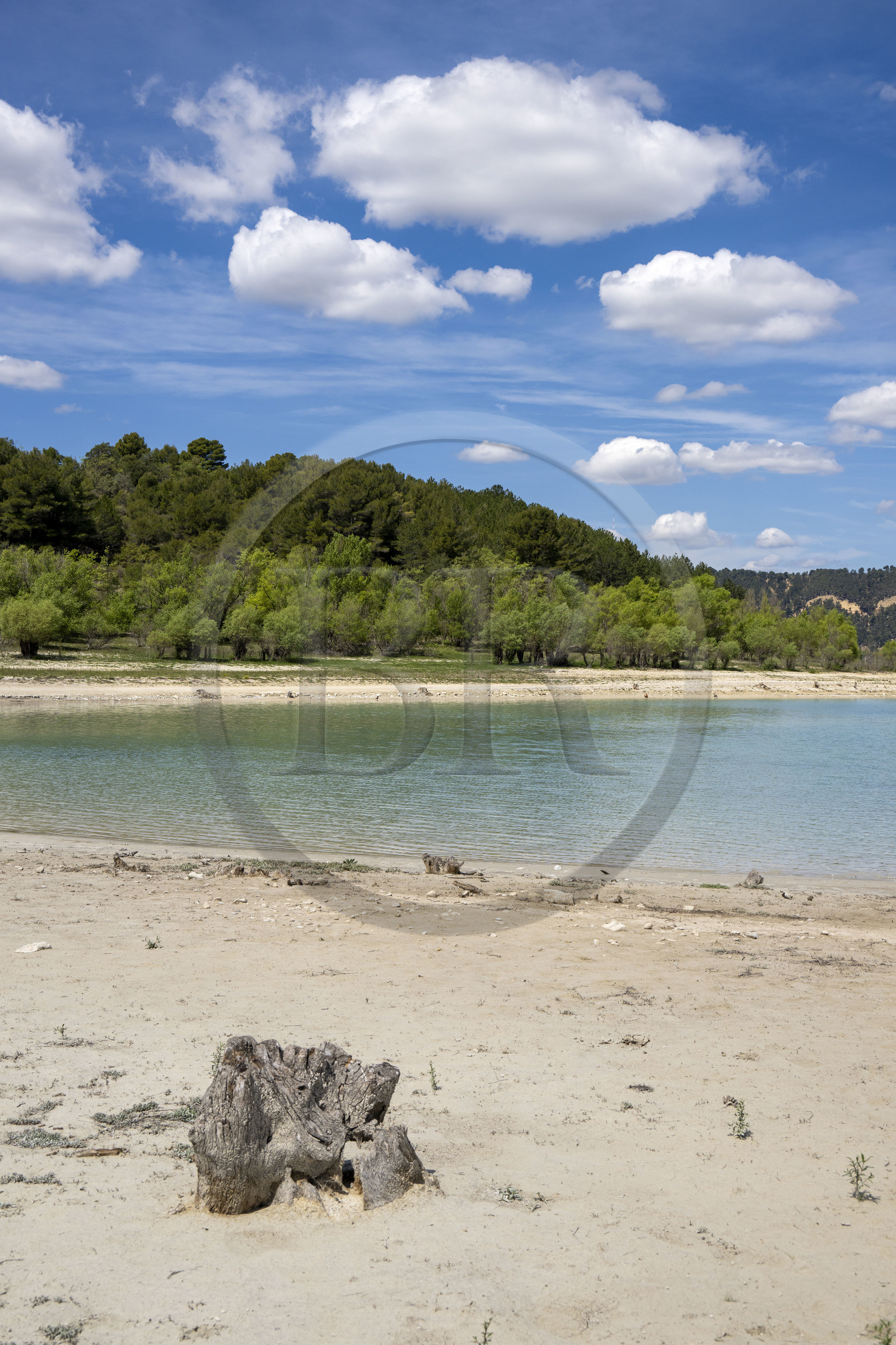 France, Var (83), Parc Naturel Régional du Verdon, Les-Salles-sur-Verdon, lac de Sainte Croix