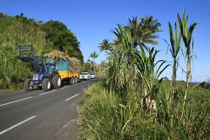 France, Ile de la Reunion, Saint-Philippe, tracteur transportant une remoque de canne à sucre (surnommé Cachalot)