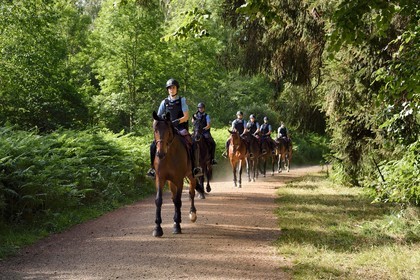 France, Puy de Dome, Parc Naturel Régional des Volcans d'Auvergne (regional nature park of Auvergne volcanoes), Chaine des Puys listed as World heritage by UNESCO, Mounted Police in the forest at the foot of the Puy de Dôme volcano