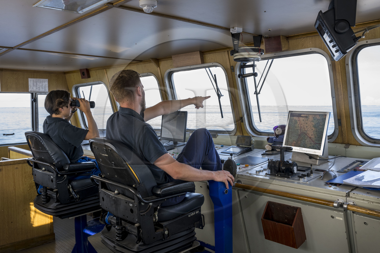 France, Finistère (29), Mer d'Iroise, Le Conquet, navire de la Penn ar Bed assurant la liaison avec les iles de Molène et Ouessant, le pilote sur la passerelle