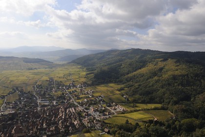 France, Haut Rhin, Riquewihr and its vineyard at the bottom of Vosges Massif (aerial view)