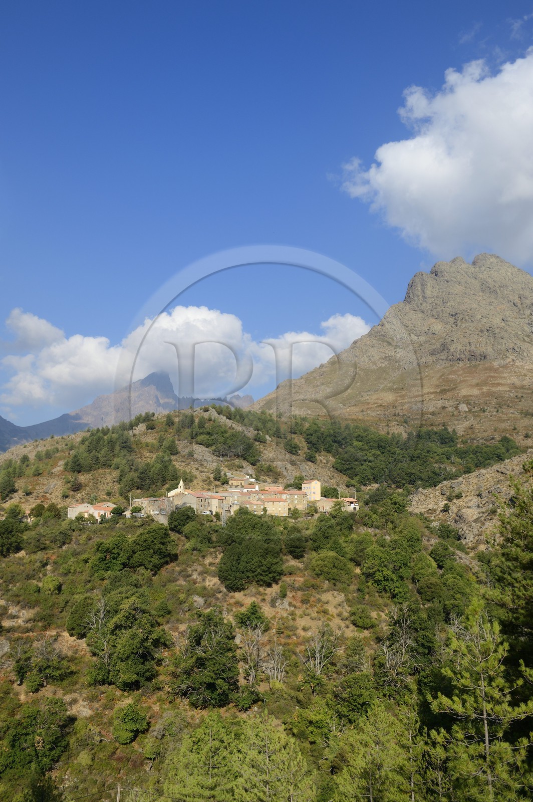France, Haute-Corse (2B), région du Niolu (Niolo), Calasima plus haut village de Corse (1 095m) au pied de la montagne du Paglia Orba en forme d’aileron de requin