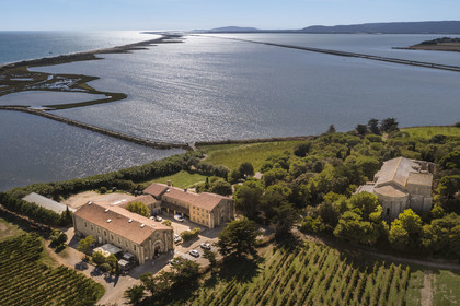 France, Hérault (34), Villeneuve-lès-Maguelone (Palavas-Les-Flots), cathédrale Saint-Pierre-et-Saint-Paul de Maguelone des XIIème et XIIIème siècles entourée de vignes sur son île, l'Etang de Pierre Blanche en arrière plan (vue aérienne)
