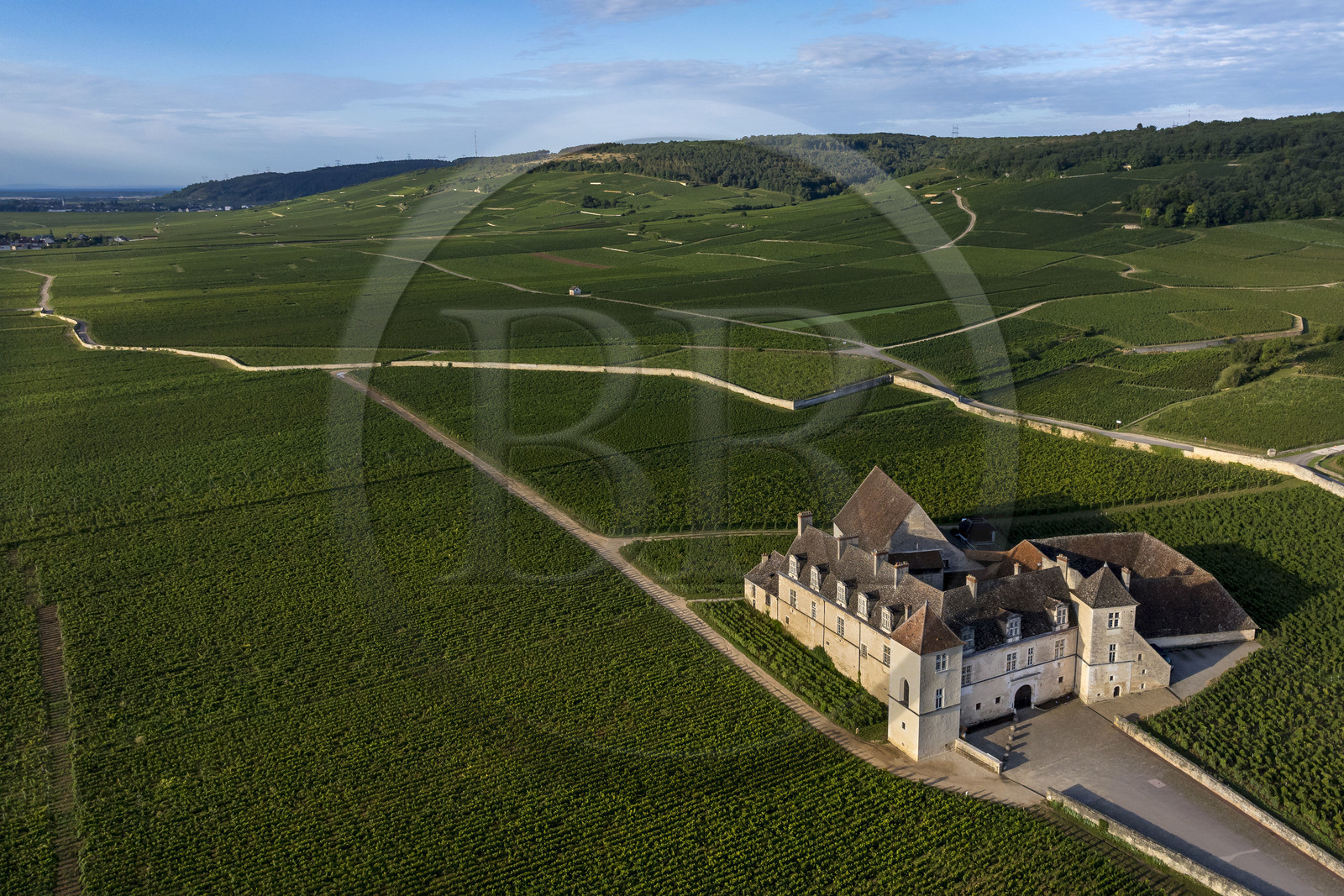 France, Cote d'Or, cultural Landscape of the climates of Burgundy listed as World Heritage by UNESCO, Route des Grands Crus (road of Vintage Wines), vineyard of the Côte de Nuits, Vougeot, the Chateau of Clos de Vougeot surrounded by vineyards (aerial view)