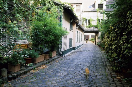 France, Paris (75), passage du faubourg Saint-Antoine
