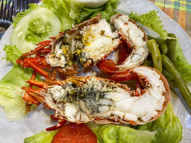 Caraïbes, Ile de la Dominique,