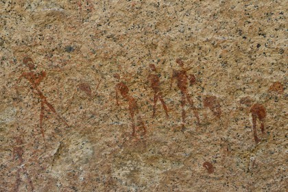 Namibia, Erongo region, Damaraland, the Pondok Mountains at the east of Spitzkoppe in the Namib Desert, rock paintings under a granitic overhang called the Bushman's Paradise believed to have been made between 4,400 BCE and 100 AD, representation of a men's group