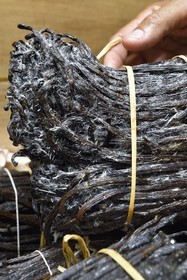 France, Ile de la Reunion, Saint-Louis, Domaine de Bellevue, producteur de vanille biologique cultivée sous des panneaux photovoltaïques, gousses de vanille Planifolia cristallisée avec 24 mois d'affinage minimum