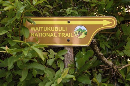 Caraïbes, Ile de la Dominique, Soufrière, dans les montagnes du sud de l'île le long du Segment 1 du Waitukubuli National Trail entre Scotts Head Village et Soufriere Estate