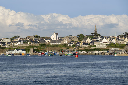 France, Finistère (29), Le Conquet, le port avec ses bateaux de pêche