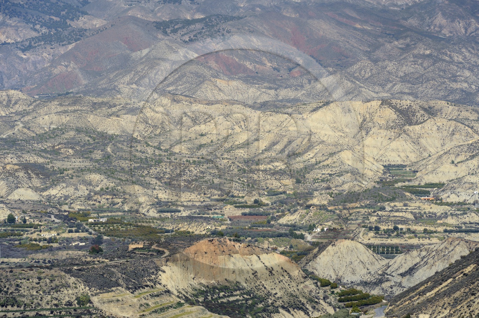 Espagne, Andalousie, Province d'Almeria, le désert de Tabernas derrière les cultures de Bentarique