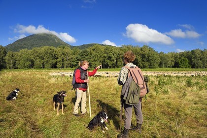 France, Puy de Dome, Parc Naturel Régional des Volcans d'Auvergne (regional nature park of Auvergne volcanoes), Chaine des Puys listed as World heritage by UNESCO, the two shepherdesses Ostiane and Charlotte keeping a flock of Rava sheep at the foot of the Puy de Dôme volcano