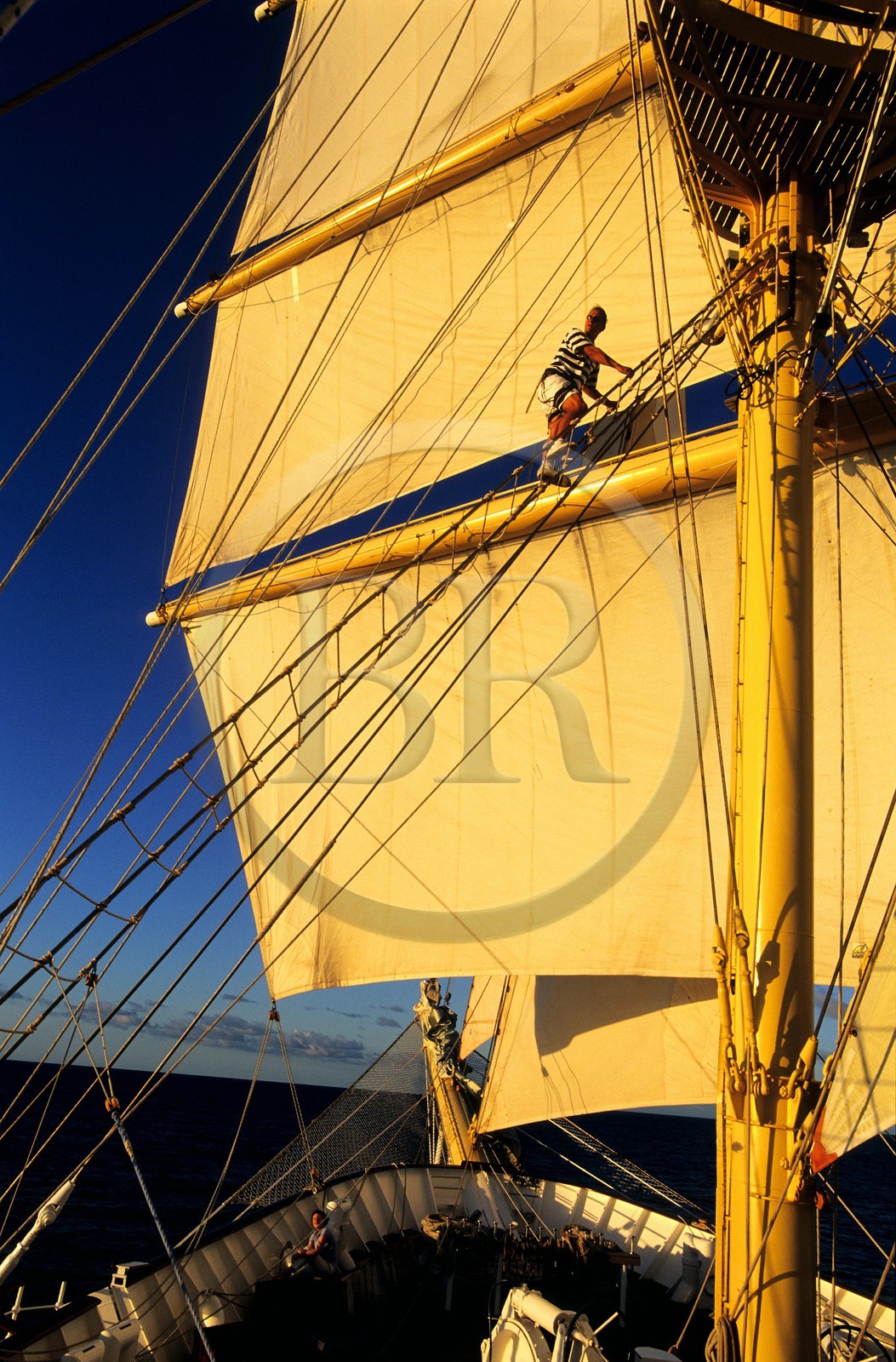 Caraïbes, le 5 mâts SPV Royal Clipper toutes voiles dehors, un marin grimpe dans les voiles