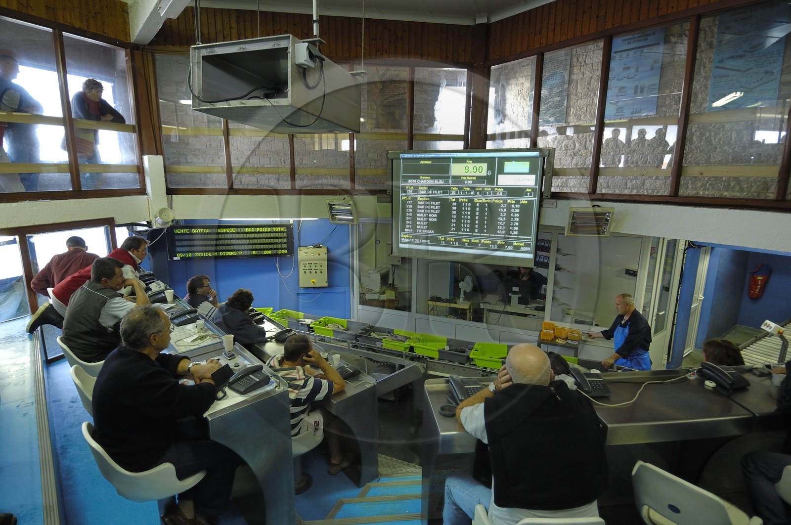France, Charente-Maritime (17), Ile d'Oléron, port de la Cotinière, la criée