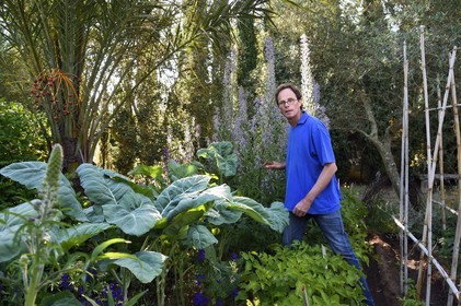 France, Var, Iles d'Hyeres, Parc National de Port Cros (National park of Port Cros), Porquerolles island, the gardener Antoine Durand in his dry garden