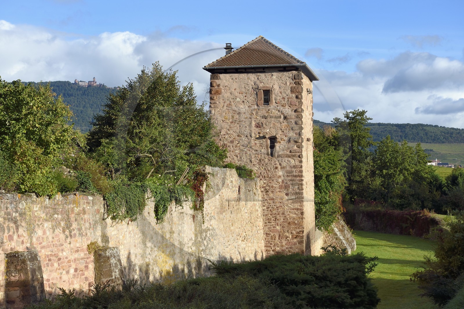 France, Haut-Rhin (68), Route des vins d'Alsace, Bergheim, ancienne cite médiévale fortifiée, remparts du XIVème siècle