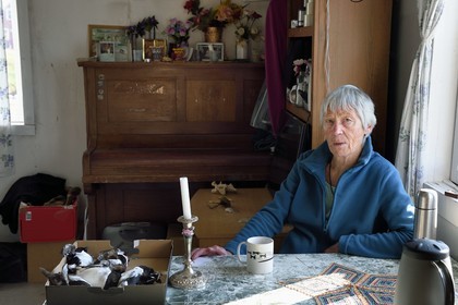 Groenland, cote Nord-Ouest, Murchison sound au nord de la baie de Baffin, Siorapaluk, village le plus septentrional du Groenland, la française Jocelyne Ollivier-Henry qui vit dans se village de 45 habitants dans sa maison avec sur sa table les mergules nain (Alle alle) qu'elle a prévu de manger au diner