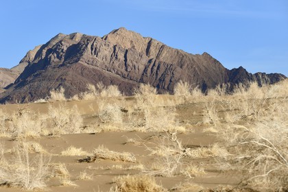 Iran, Province d'Ispahan, désert du Dasht-e Kavir, Mesr dans la région de Khur et Biabanak, dunes de sable au pied de la chaine de montagne de Dareh bidan