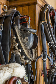 France, Vendee, La Roche-sur-Yon, honorary saddlery of the Haras de la Vendée, former national stud farm designed by Joseph Mallet (1846)