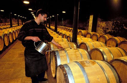 France, Saône-et-Loire (71), Romanèche-Thorins, établissement Duboeuf caves du hameau en Beaujolais