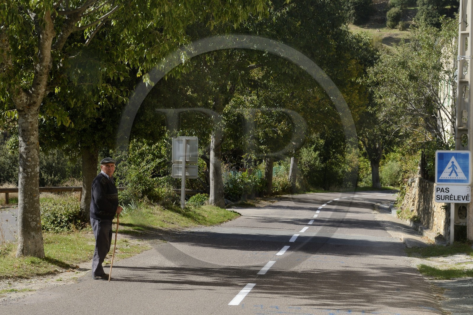 France, Haute-Corse (2B), Balagne, vallée du Giussani, village de Olmi-Capella, panneau routier