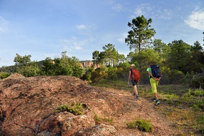 France, Var, between Bagnols en Foret and Roquebrune sur Argens, hike in the Gorges du Blavet
