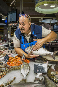 France, Hérault (34), Sète, Les Halles, marché couvert, étal du poissonnier Chez Cyril, Cyril Caumette présente une dorade royale