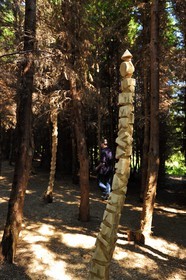 Norway, Rogaland County, surroundings of Stavanger, Land Art on Bru Island (Stavanger 2008), Forest of Words by Jorn Ronnau and Torild Wardenaer