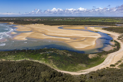 France, Vendée (85), Jard-sur-Mer, la Pointe du Payré, la plage du Veillon et estuaire de la rivière Payré (vue aérienne)