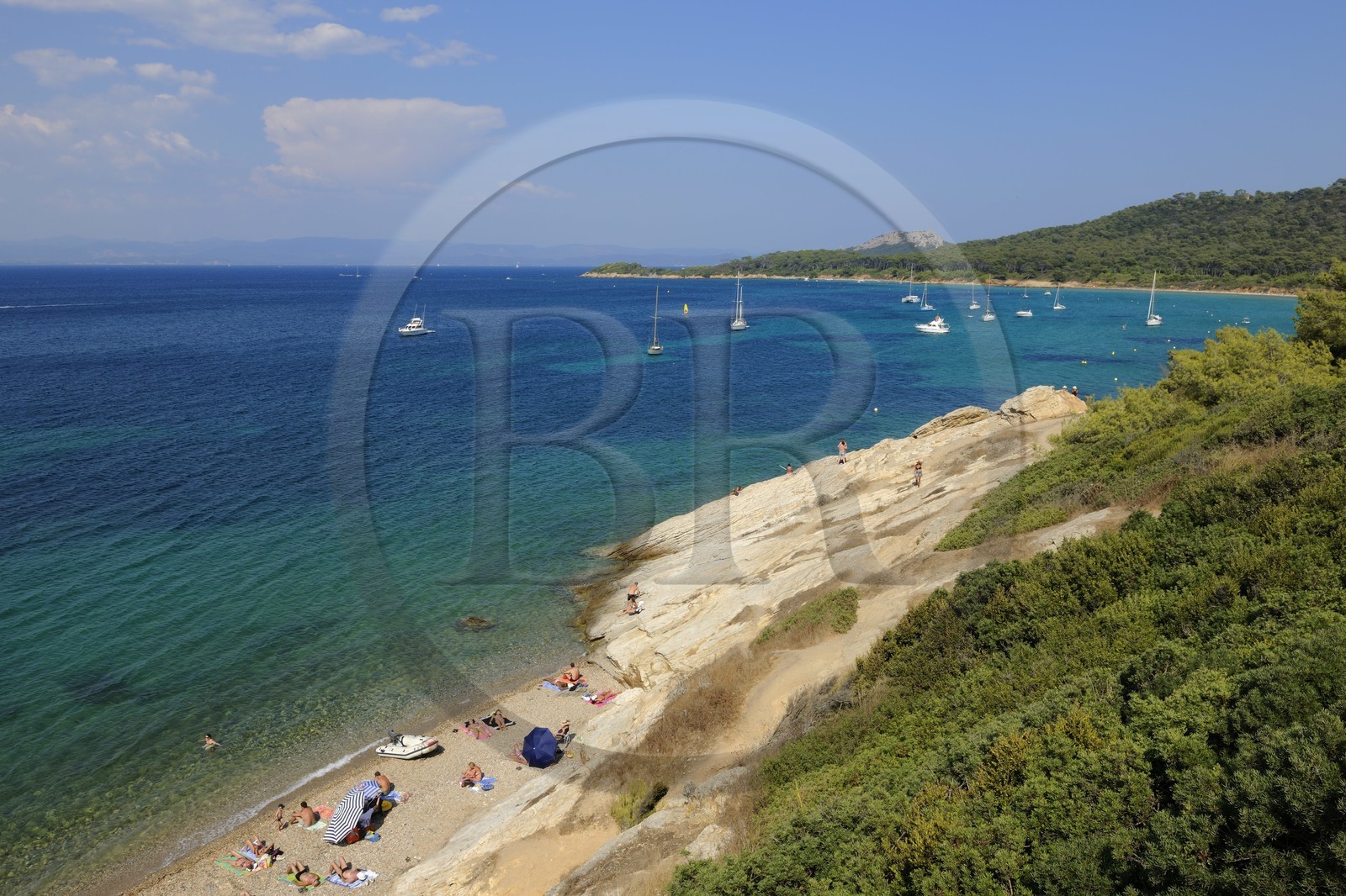 France, Var (83), Iles d'Hyères, parc national de Port-Cros, île de Porquerolles,