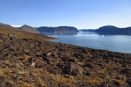 Groenland, cote Nord-Ouest, Murchison sound au nord de la baie de Baffin, randonneurs dans le fjord Robertson à Siorapaluk