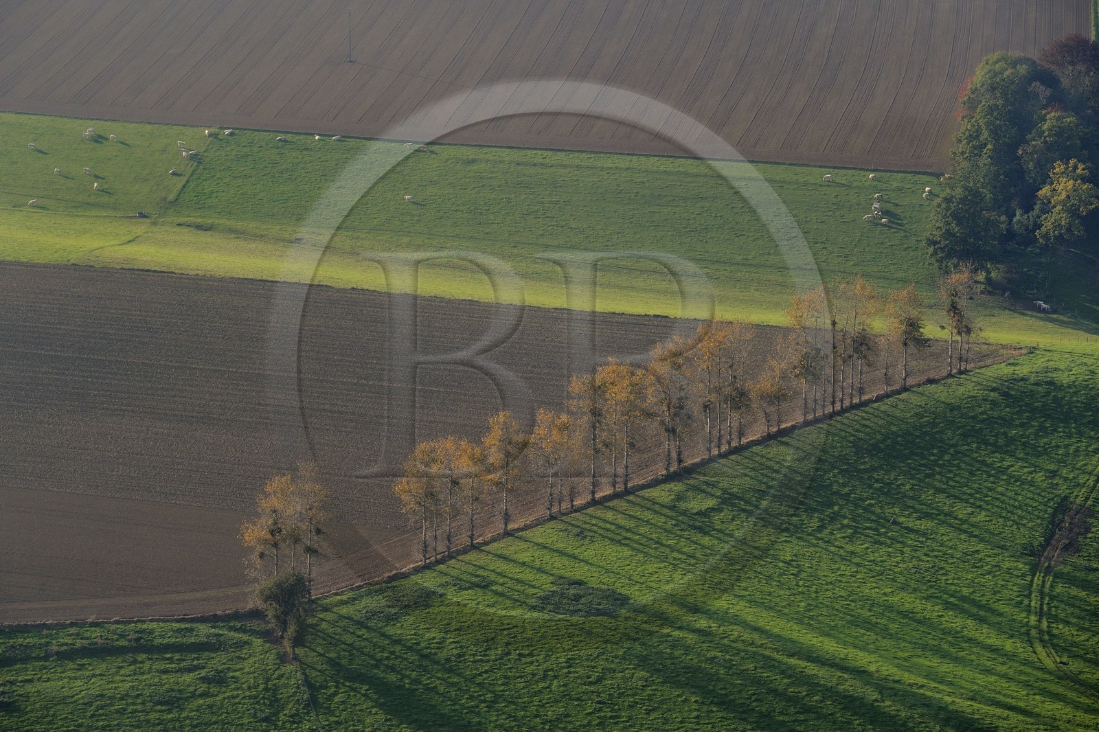 France, Seine-Maritime (76), Sainte-Foy, la campagne à l'automne (vue aérienne)