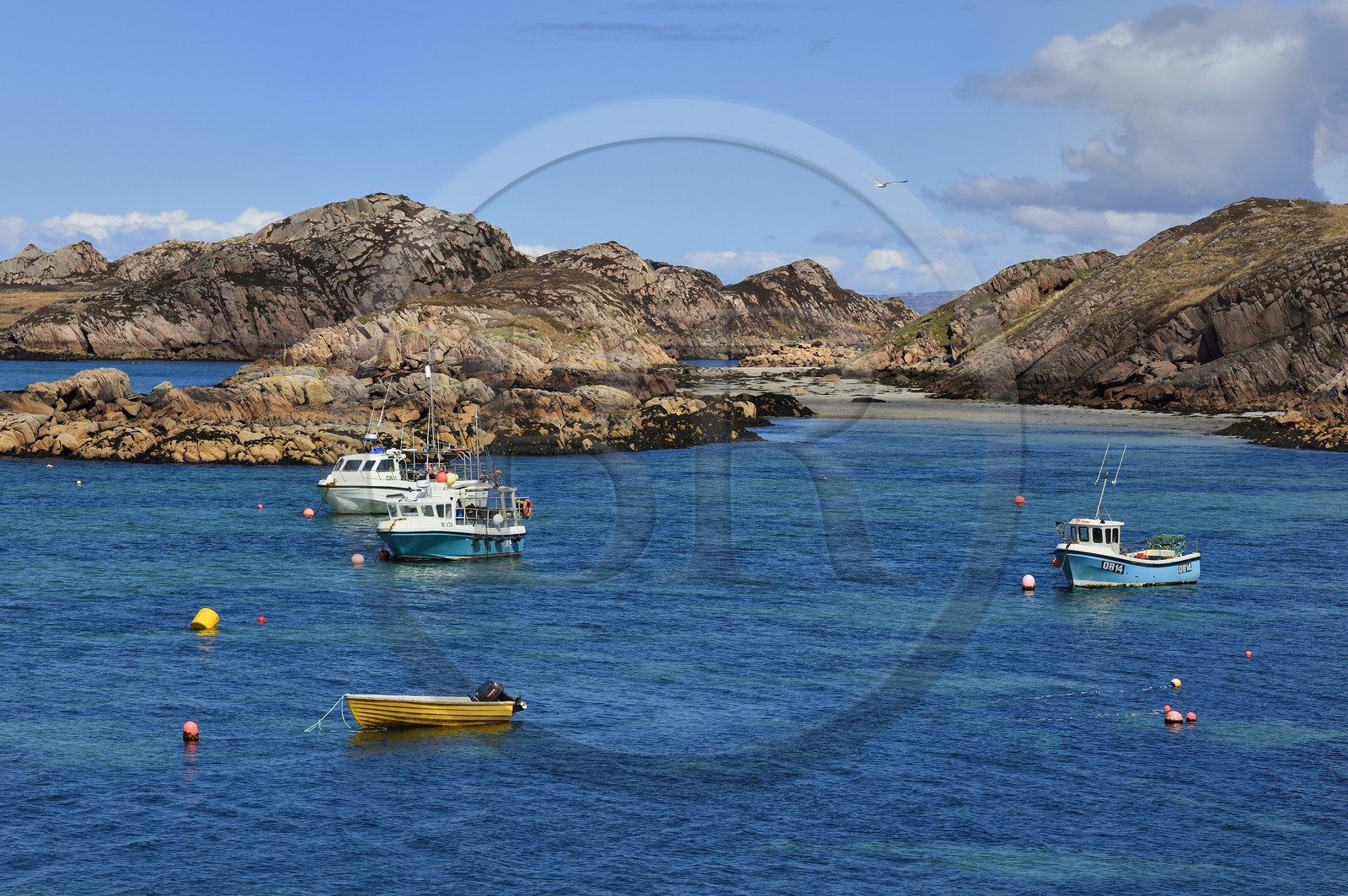 Royaume-Uni, Ecosse, Highland, Hébrides intérieures, the Ross of Mull à l'extrème sud-ouest de l'Ile de Mull, Fionnphort qui fait face à l'Ile d'Iona