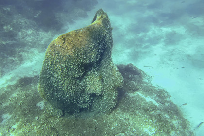 France, Alpes-Maritimes (06), Cannes, Iles de Lérins, Ile Sainte-Marguerite, l’écomusée sous-marin formé de statues monumentales de l’artiste Jason deCaires Taylor, moulées selon les visages de 6 Cannois et immergées à une distance allant de 84 à 132 mètres du rivage pour une profondeur de 3 à 5 mètres