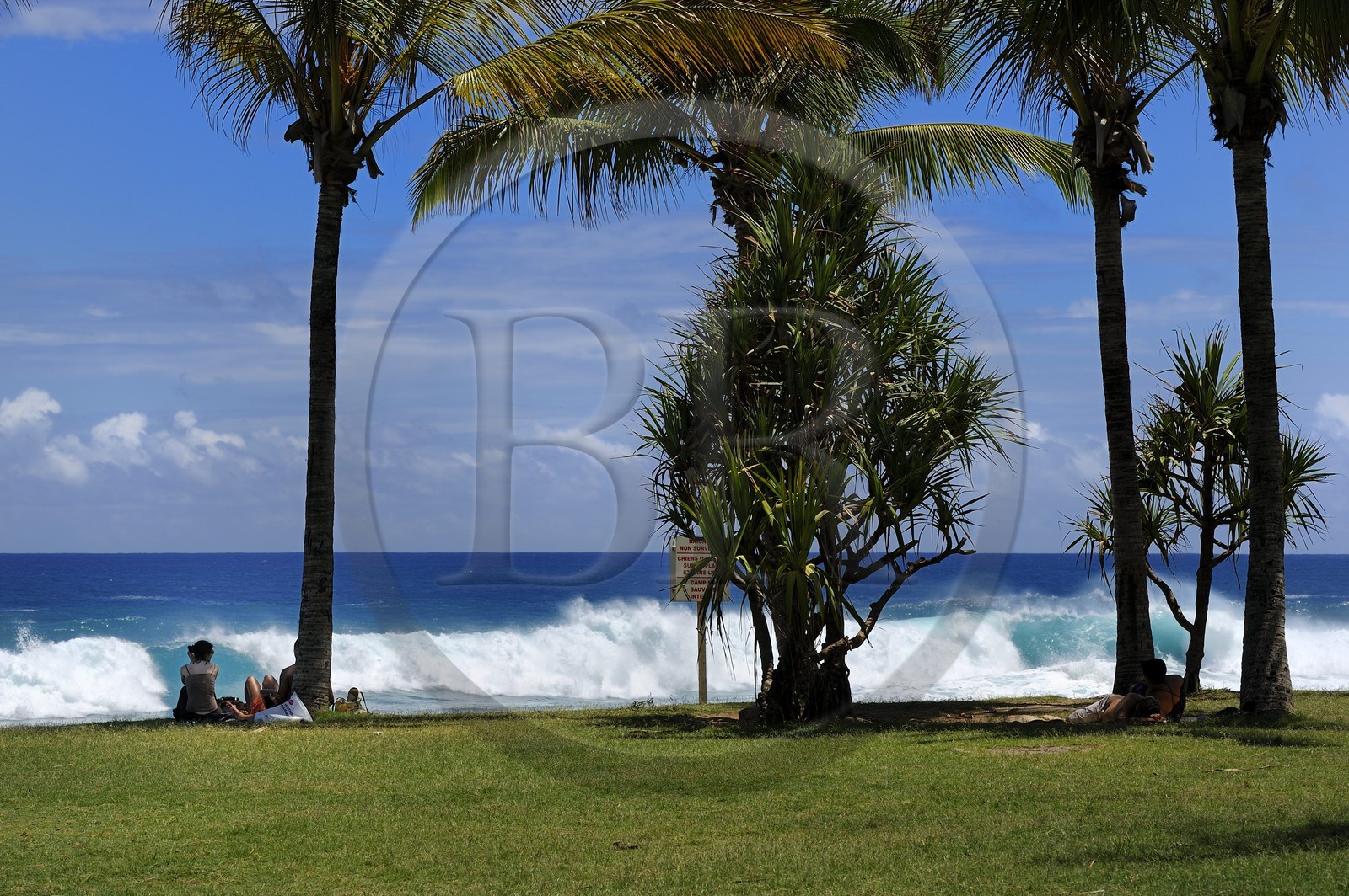 France, île de la Réunion, la côte sud, plage de Grand-Anse